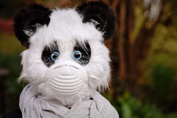 استيايواي كازينو الدعم